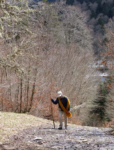 Randonnée hivernale sur le plateau de Millevaches